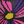 Women's Knee High 10-15 mmHg Print Support Sock, FRF Floral Flashback
