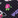 FFK Frightful Kitties
