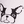 Women's Knee High 10-15 mmHg Print Support Sock, DGL Dog Love