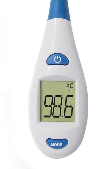 Clearance Adtemp Ultra Fast Read Flex Digital Thermometer, , large