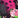 PFP Playful Patchwork
