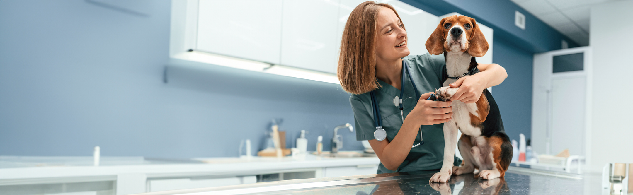 Best Scrubs for Vet Techs