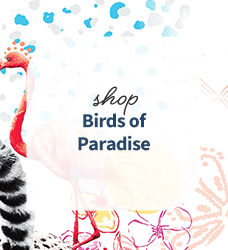 Shop our collection of tropical bird print scrubs